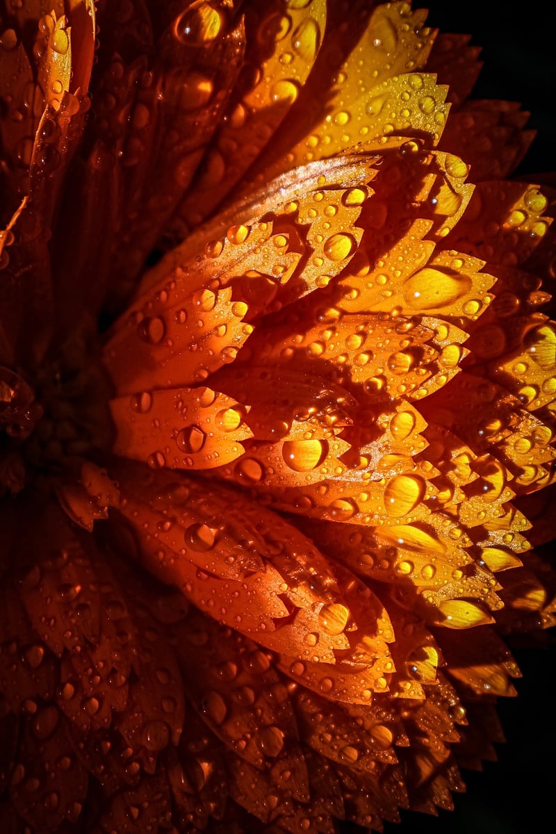 Detailed Plants